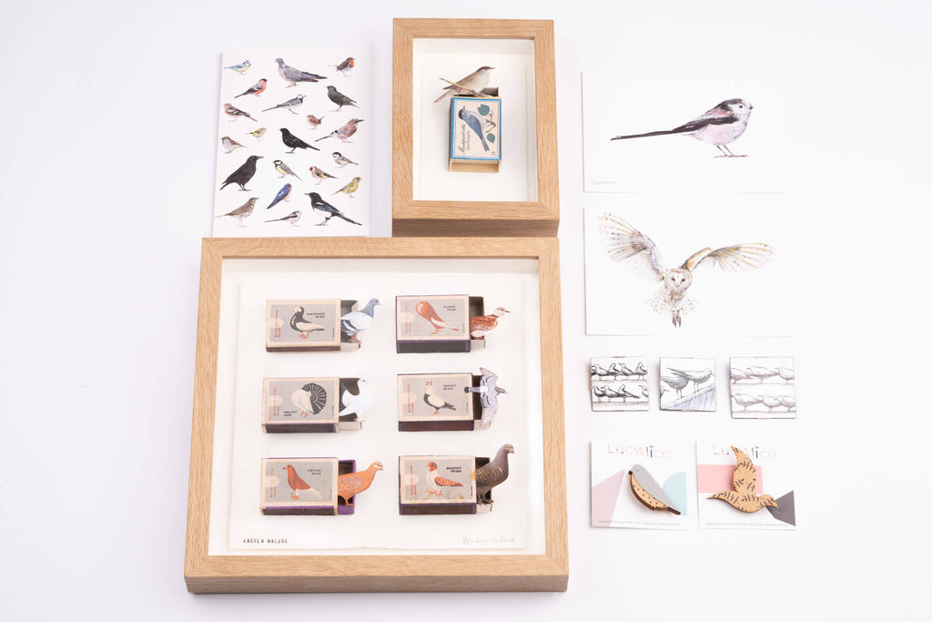 GIFTS FOR BIRD LOVERS - Rock Paper Scissors