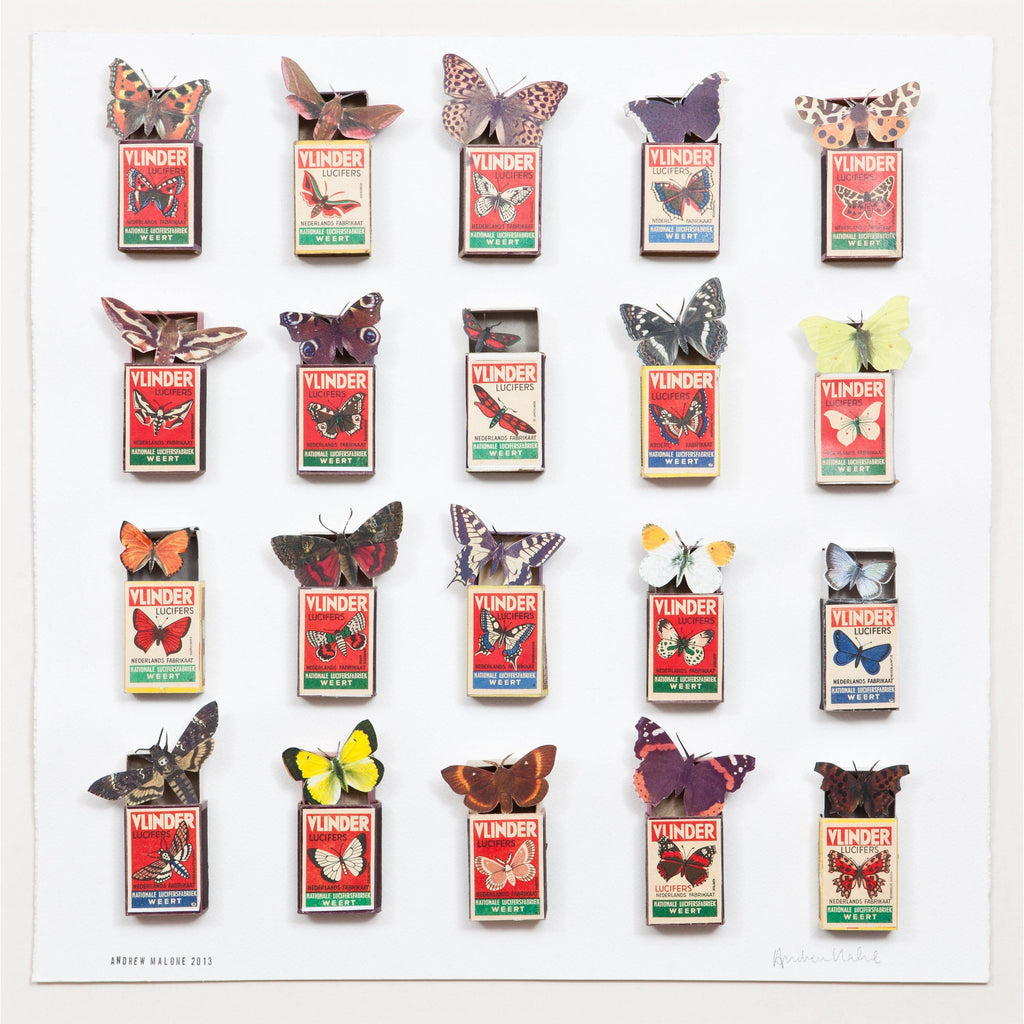 Butterfly and Moth Matchbox Piece (medium) - Rock Paper Scissors