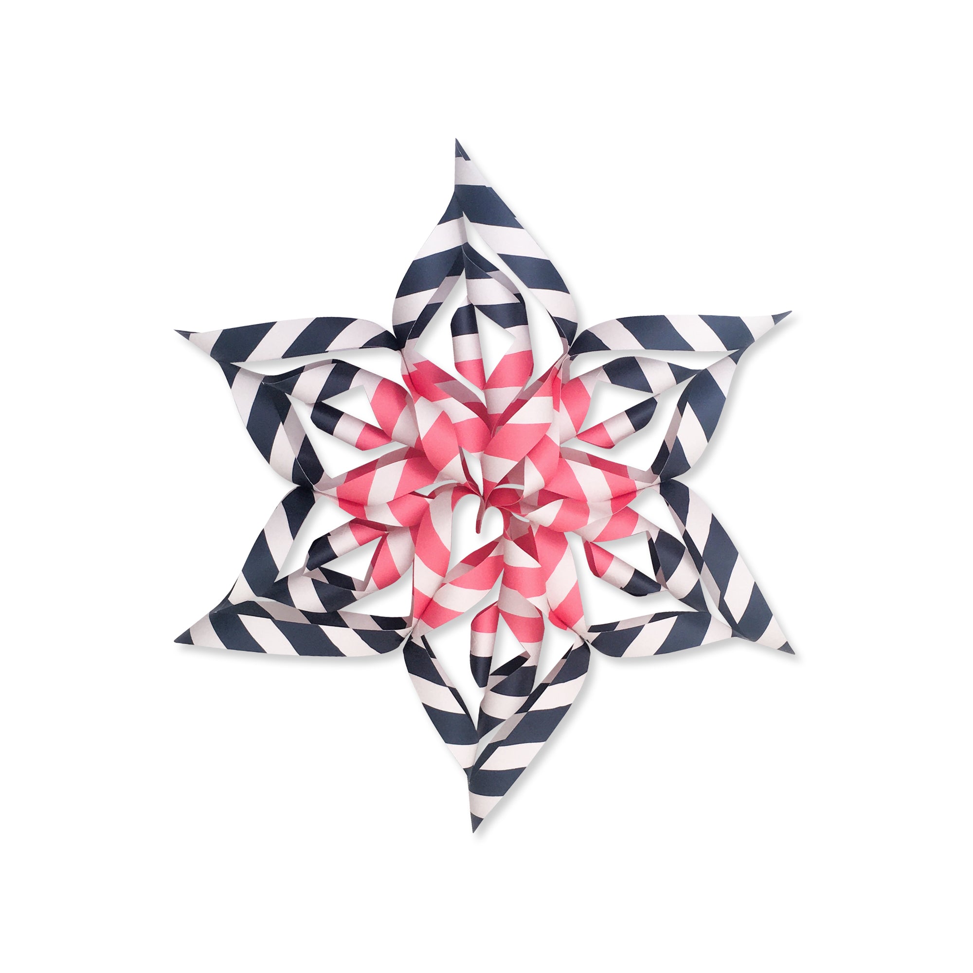 David Paper Star Craft Kit
