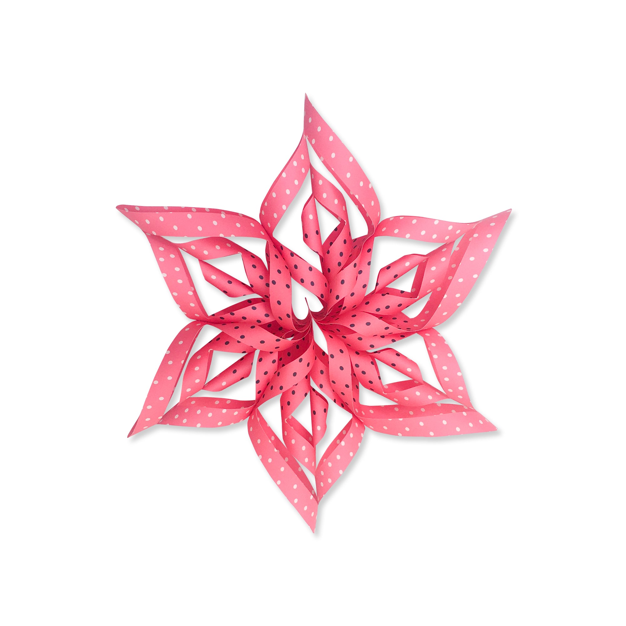Sonia Paper Star Craft Kit