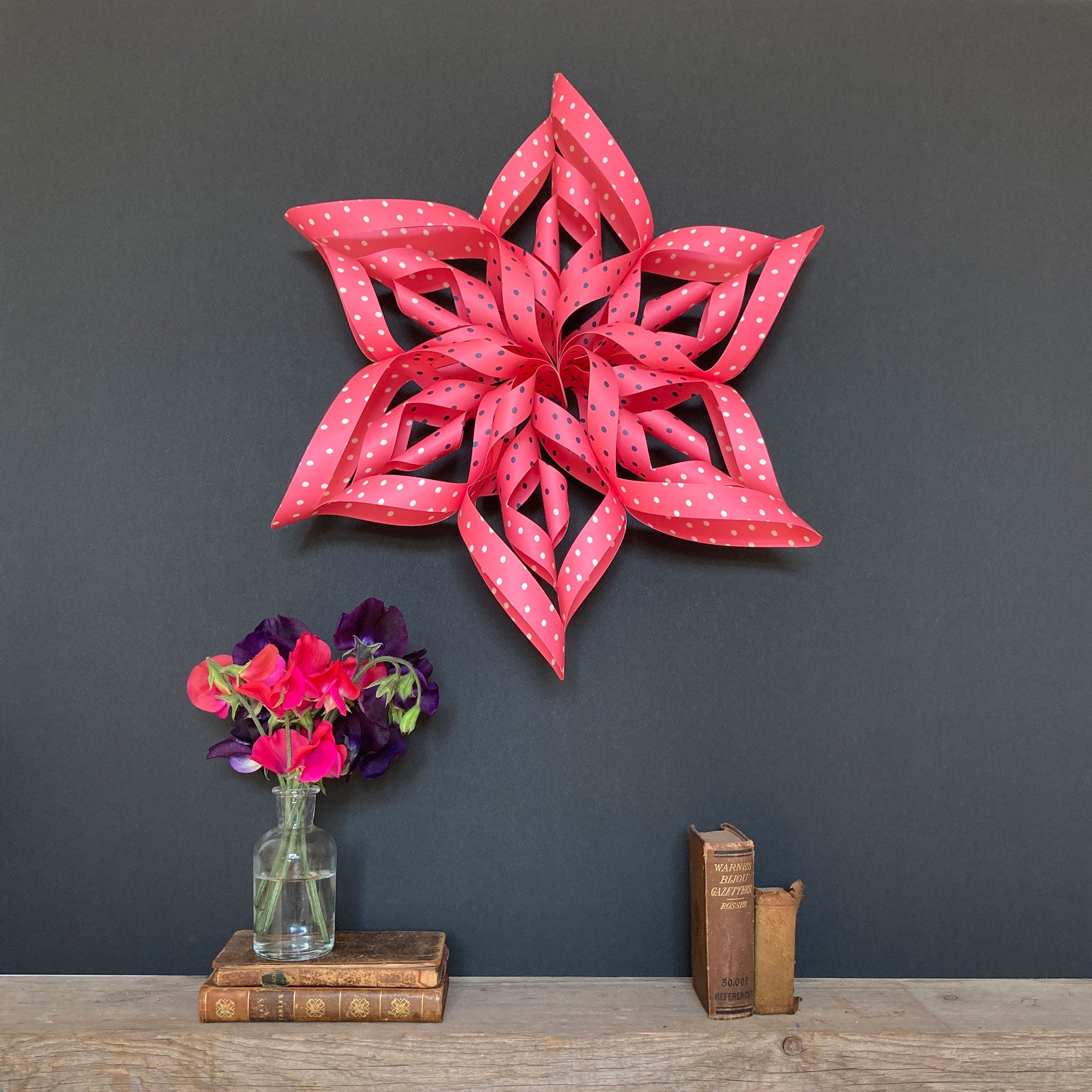 Sonia Paper Star Craft Kit