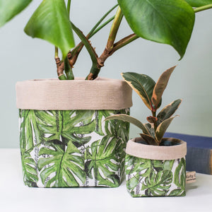 Open image in slideshow, Botanical Plant Pots - Rock Paper Scissors
